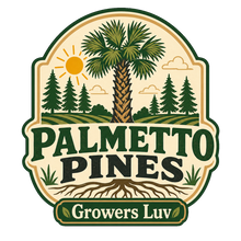 Palmetto Pines Men's Gildan Graphic Tee