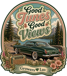 Good Tunes Good Views Women's Bella Canvas Graphic Tee